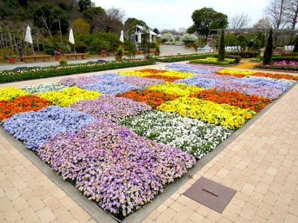AshikagaFlowerPark9